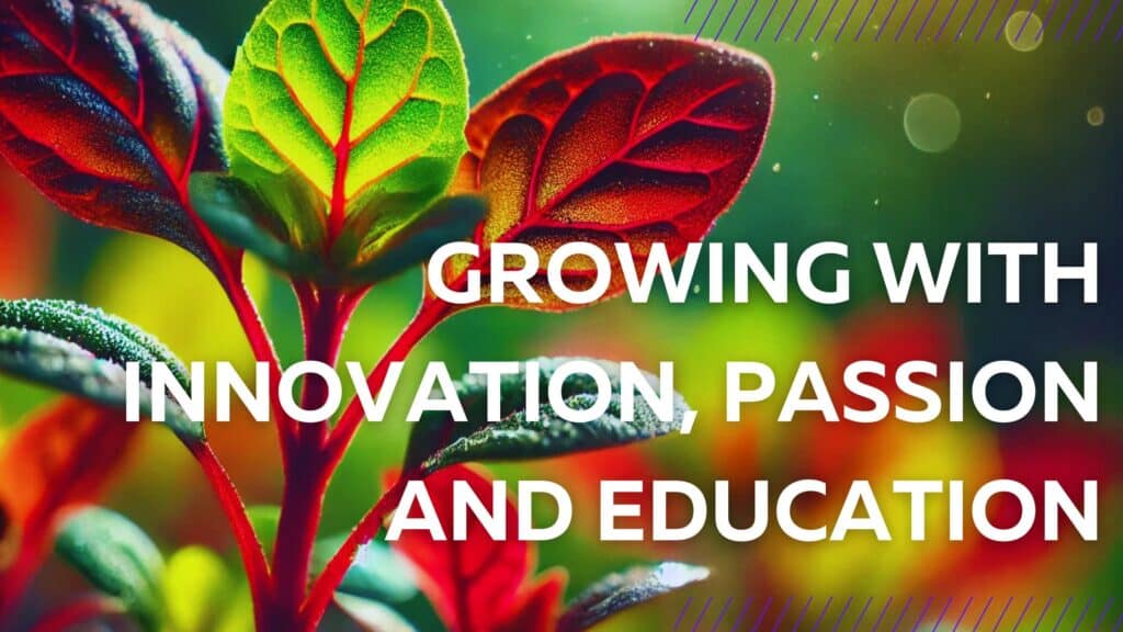 image of a vibrant sprout that reads On the blog; growing with innovation, passion and education.